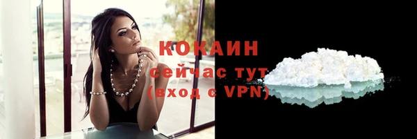 винт Ладушкин