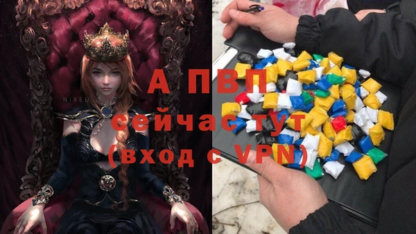 спиды Лабытнанги