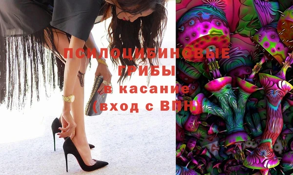 винт Ладушкин