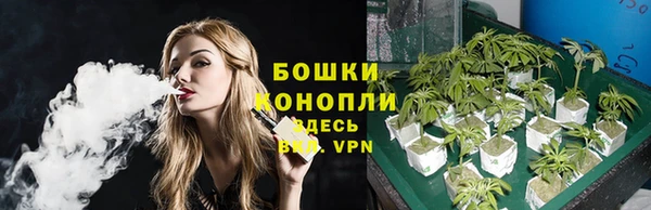 винт Ладушкин